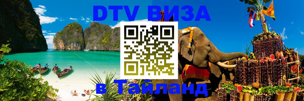 Оформление DTV визы под ключ: стоимость и тарифы, только загранпаспорт - 18.11.2025 
